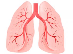 Raucher-Check/ Lungenfunktion